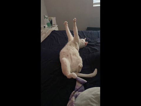 Preparation fisica en 15´- Tabata style x 3 Krukower