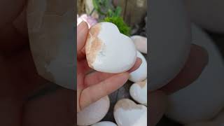 Skolecit se stilbitem srdce 60g