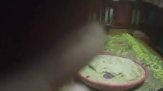 Download lagu 。 ₊°༺Emily❤︎༻°₊ 。 | BBW | SSBBW 3 mp3 Download lagu 。 ₊°༺Emily❤︎༻°₊ 。 | BBW | SSBBW 3 mp3