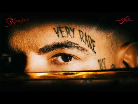 SNIK - SKYWALKER (Official Audio Release)