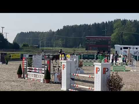 Aileens Quality Street (6yo Obos Quality) 17.09.2020 Boll - SPF A**