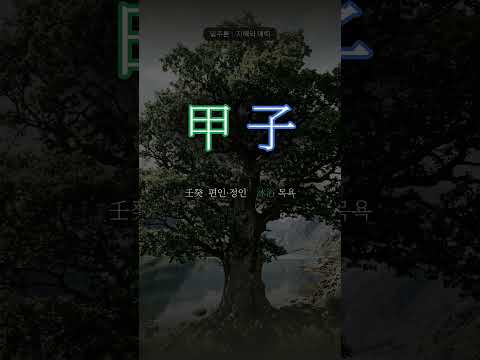 깊은 물 위에 선 나무 | 갑자(甲子) 일주