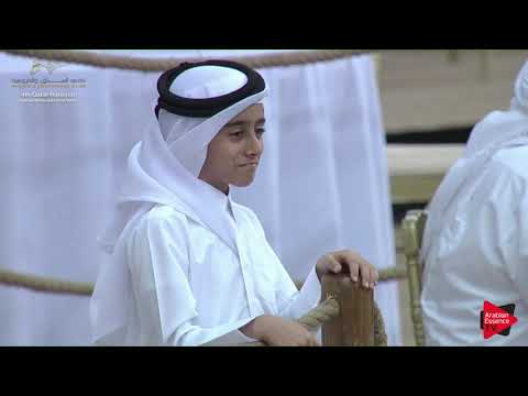 N.172 HAISAM AL MAHA - 2019 Qatar Nat. Peninsula show - Stallions 4 to 6 Years Old (Class 10) .mp4