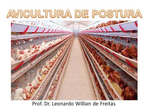 , title : 'Produção e Manejo de Poedeiras Comerciais  Parte II'