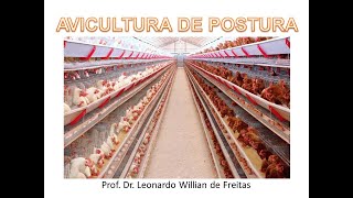 Produção e Manejo de Poedeiras Comerciais  Parte II