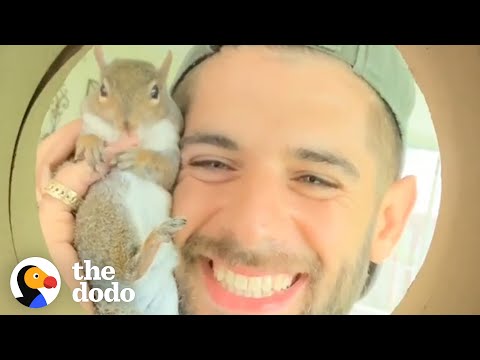 He Tried To Release a Rescue Squirrel, But It Came Back