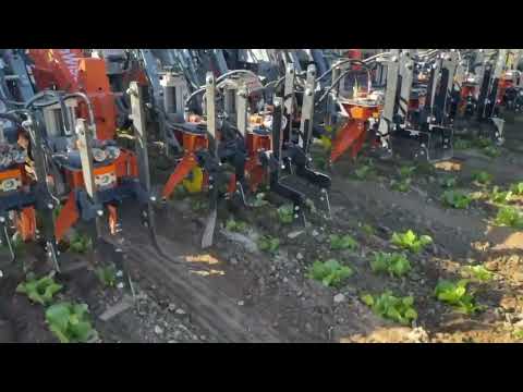 Enter the Era of Ultra Precision Weeding with FarmWise's Vulcan