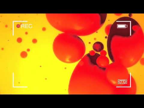 Sindicato do Peixe - Colosso