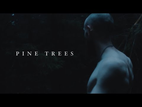 Lawriii Craic - Pine Trees ( Official Video )