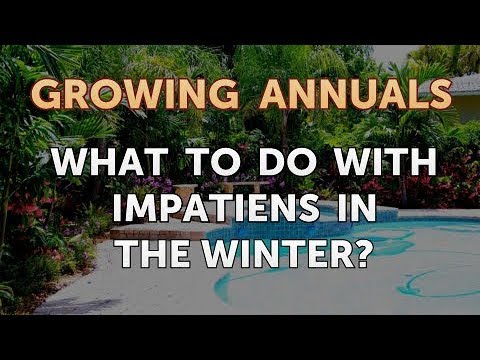 Laws on Growing Poppies