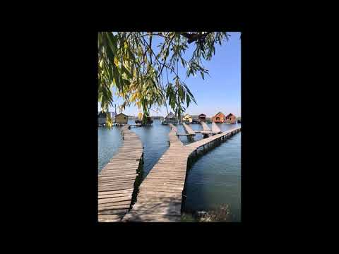 Alpha 9 vs. Shawn Mendes - Azzura Stitches (Robert Miller Mashup)