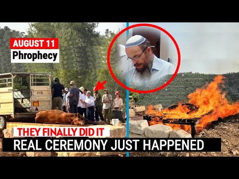 Third Temple Update: Red Heifer Ceremony finally Happened in Jerusalem