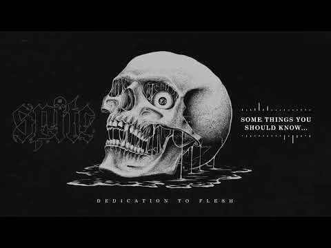 Spite - Some Things You Should Know (Visualizer) - YouTube