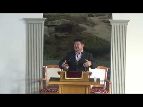 Adrian Barzu - Discernamant si dragoste