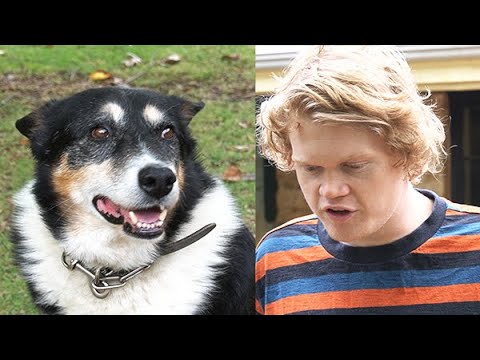YouTube video about: When you step on your dog's paw?