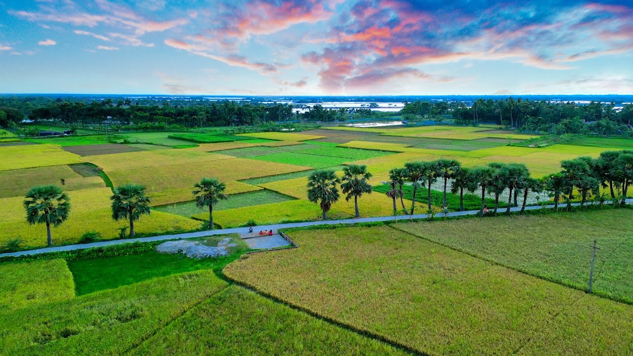 Player with Action Bar