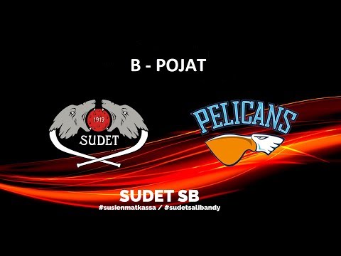 Sudet SB - Pelicans SB  B-pojat ,  8.12.2019
