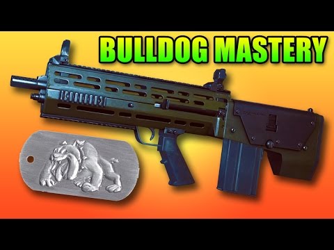 Battlefield 4 Bulldog Unlock & Mastery Dog Tag + Dragon's Teeth TDM Thoughts