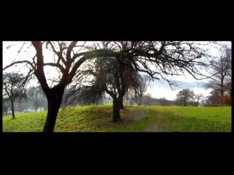 the Holywood in Puchenau - Andi Pi - BCF Big Crazy Family