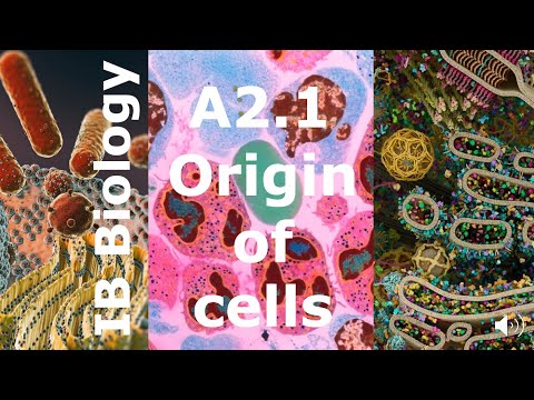 IB Biology – A2.1 Origin of Cells