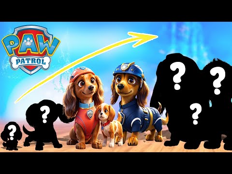 Paw Patrol charracter Growing up Compilation | Cartoon Wow