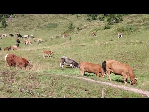 Flumserberg Tannenbodenalp