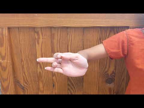 28 Single Handed Gestures/Mudras/Hastas in Bharatanatyam by Rajvi Rathore