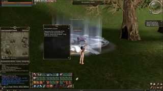 Lineage 2 - An Arrogant search (Baium Quest)