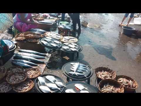 Harnai beach fish market