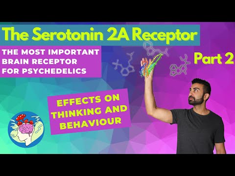 The Serotonin 2A Receptor Pt. 2: How It Shapes Your Thoughts and Behavior