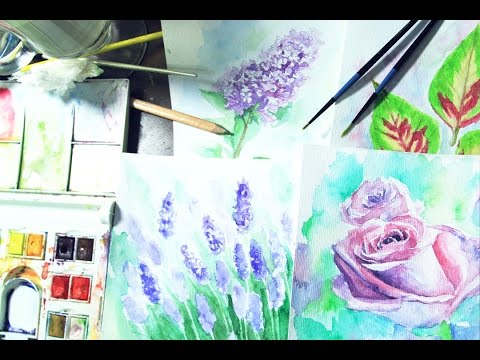 Speed Painting : Watercolor Flowers