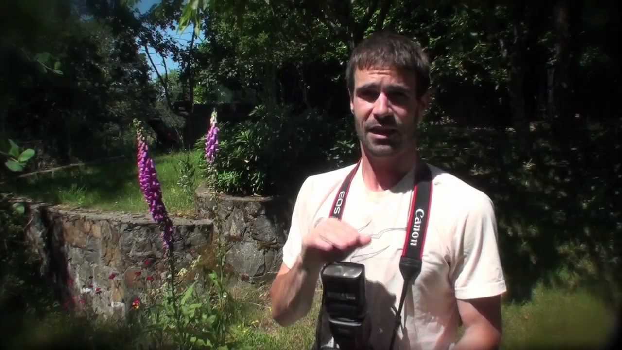 Canon Speedlite 580EX II Tutorial Part 1 – E-TTL 模式應用