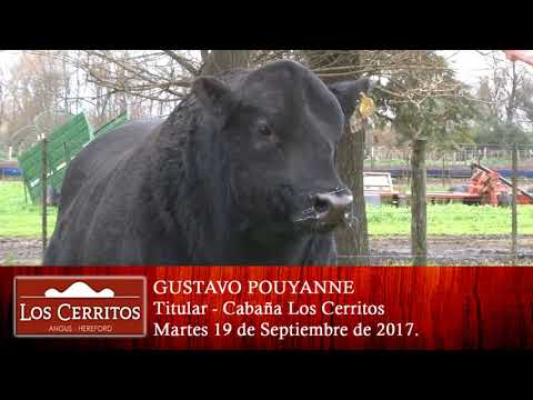 15-08-17 Nota Gustavo Pouyanne - Los Cerritos - Azul