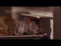 Shrek 4 Trailer