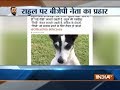 BJP leader mocks Congress, says the only thing matters to the party is 'Pidi'