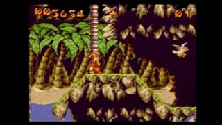 Puggsy (Sega CD) Crow Game Review