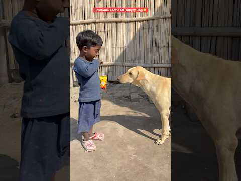 HeartTouching 😭 #emotional #doglover #dog #dogshorts #trendingshorts #shorts #viralshort #trending