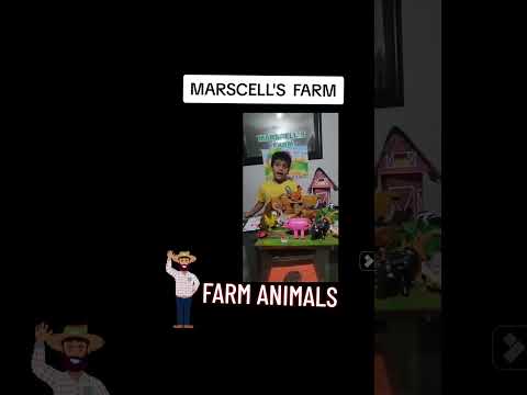 Farm Animals - 2B