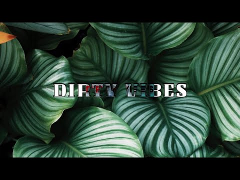 GANGSTA DECK [ Raiguetss remix] 2022