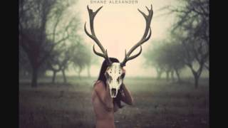 Shane Alexander - Skyway Drive-In