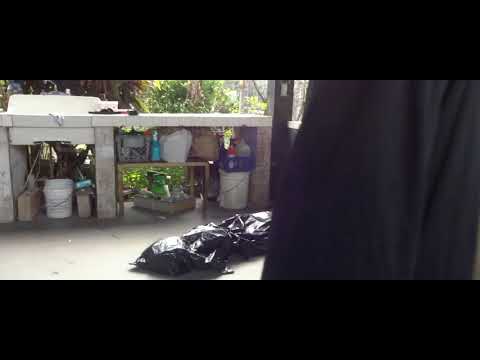 #Horror Tv Spot 23 (2018)