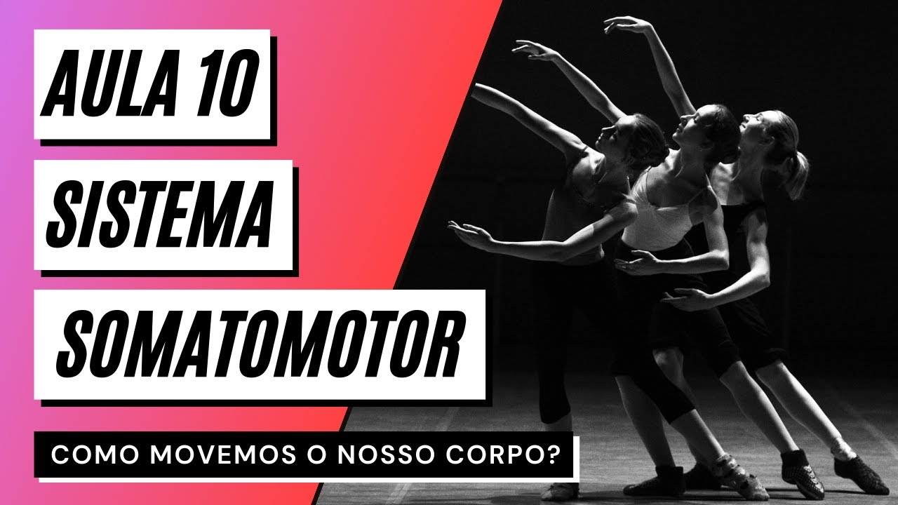 Videoaula 10 Sistema somatomotor (PARTE 2) - COMO MOVEMOS O NOSSO CORPO?