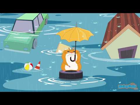 【知っている？】ハリケーンについての豆知識！