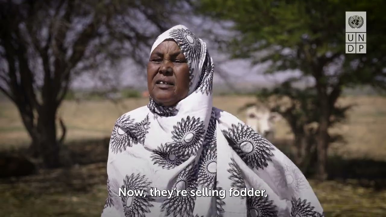 Somali villagers’ smart response to a complex climate crisis