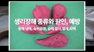 고구마 생리장해 종류와 원인 예방방법