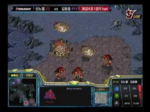 Bacchus OSL 2009  RorO vs YoonJoong 2009-06-10  @ Holy World