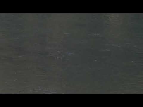 DRINA SEVANJE SKOBALJA