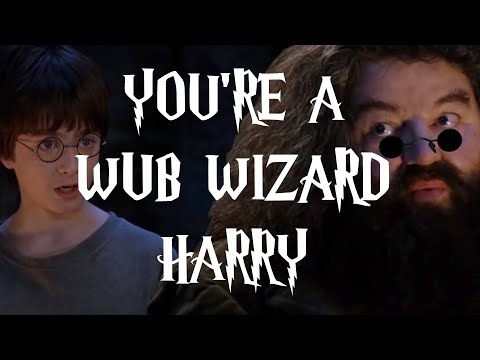 YOU'RE A WUB WIZARD HARRY...