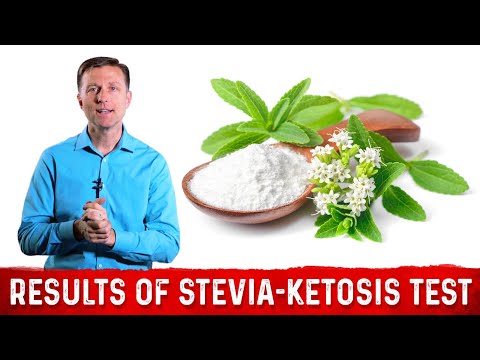 Alternative Sweeteners Monk Fruit Stevia Erythritol Xylitol – Dr Berg