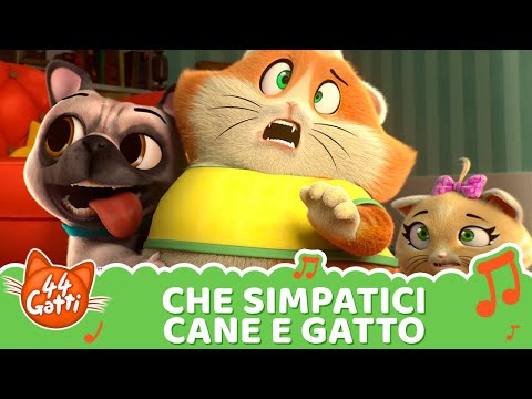@44GattiIT | Canzone "Che simpatici Cane e Gatto" [VIDEOCLIP]